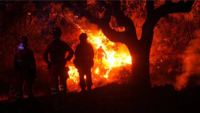 España logra estabilizar los incendios forestales luego de perder 70 mil hectáreas