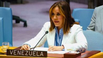 Venezuela exige ante el Consejo de Seguridad de la ONU una solución urgente para la Cuestión Palestina