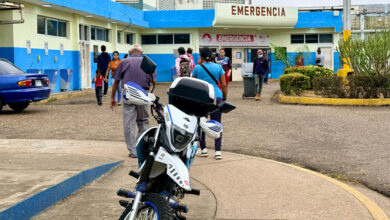 Niño de 7 años sufre múltiples picaduras de abejas en Anzoátegui