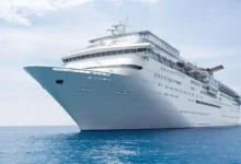 La OMS declara el fin del brote de hantavirus que surgió en un crucero