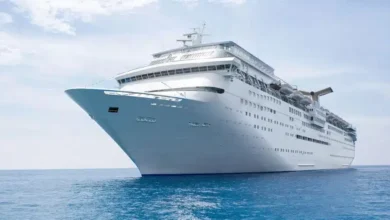 La OMS declara el fin del brote de hantavirus que surgió en un crucero