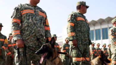 Llegan más brigadistas mexicanos para apoyar el rescate en Venezuela