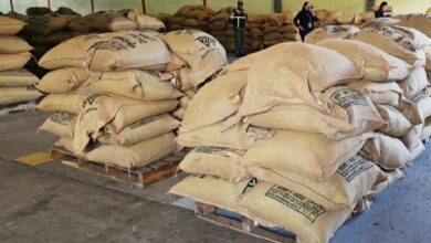 Mérida envía 19,2 toneladas de café a Bélgica y supera las 540 toneladas exportadas