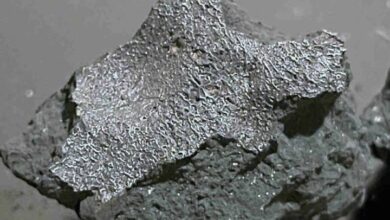 Meteorito que cayó en una casa de Nueva Jersey esconde compuestos primitivos para la vida