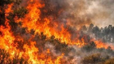 Evacúan a 700 vecinos de cinco pueblos de España por el avance del fuego