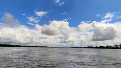 Río Orinoco sube en Tucupita; activan alerta amarilla