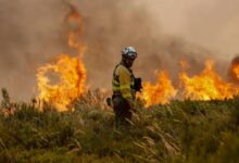 Incendios en Francia: Evacúan a 12.000 personas en la región de Gironda