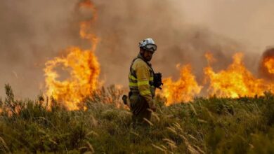Incendios en Francia: Evacúan a 12.000 personas en la región de Gironda