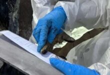 Cicpc despliega equipos forenses en La Guaira para identificación de víctimas tras el doble terremoto
