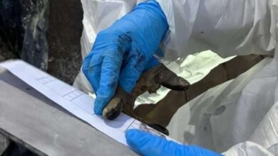 Cicpc despliega equipos forenses en La Guaira para identificación de víctimas tras el doble terremoto