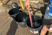 Vecinos en La Muralla reportan fallas de agua desde hace seis meses
