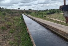 Sistema de Riego de Caicara sostiene a más de 320 productores en las tierras más fértiles del oriente