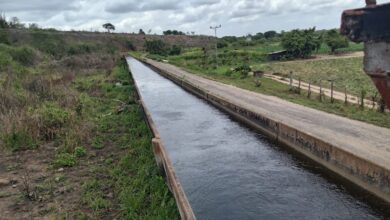 Sistema de Riego de Caicara sostiene a más de 320 productores en las tierras más fértiles del oriente