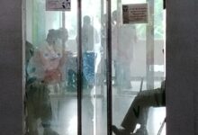 Farmacéuticos de Monagas exhortan a no administrar plantas medicinales a niños