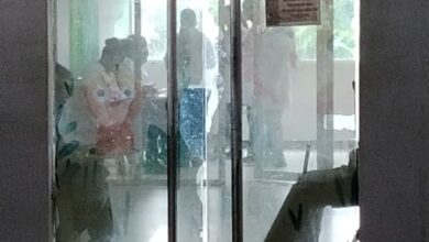 Farmacéuticos de Monagas exhortan a no administrar plantas medicinales a niños