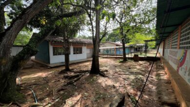 Padres de la Escuela Castor Guevara piden tala de árboles tras la caída de un rayo en el plantel