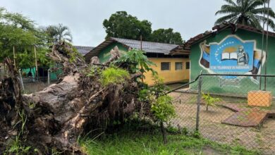 Alarma en La Pica: Vecinos denuncian deterioro y riesgo por árboles a punto de caer en la escuela Francisco de Miranda