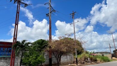 Vecinos de Los Guaritos 6 denuncian fallas en el tendido eléctrico y pérdida de electrodomésticos