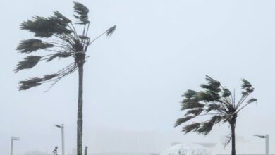 Supertifón Bavi azota Guam y Rota con vientos de 290 km/h