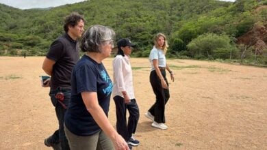 Delcy Rodríguez inspecciona terrenos en La Guaira para nuevos proyectos habitacionales