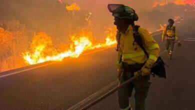 Voraz incendio en un orfanato deja 11 fallecidos y decenas de heridos en Argelia