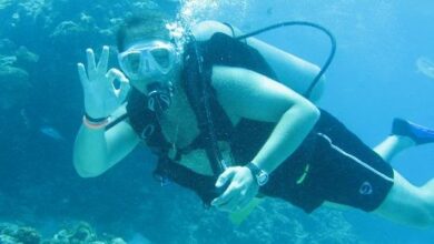 Fondo marino de la Bahía de Cata se encuentra intacto tras el doble sismo