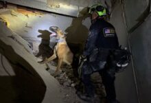 Equipos de rescate de EE.UU. regresan tras participar en labores en Venezuela