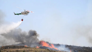 Venezuela expresa su solidaridad con España y Francia ante los destructivos incendios forestales