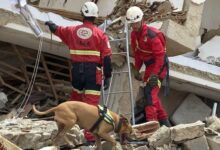 España: 29 muertos y 154 desaparecidos en Venezuela