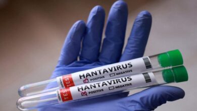 Infectóloga explica la diferencia entre el hantavirus de Venezuela y el de Argentina tras muertes reportadas