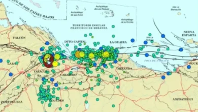 Funvisis: 1.204 eventos sísmicos contabilizados desde el 24 de junio