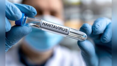 Chile declara alerta sanitaria en 13 regiones por aumento de letalidad del hantavirus