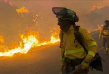 12 muertos en incendio forestal en Almería, España