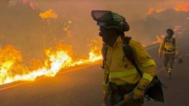12 muertos en incendio forestal en Almería, España