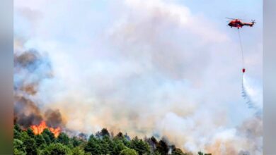Más de 11.500 evacuados en el centro de España por la ola de incendios fuera de control