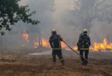 Asciende a 14 la cifra de muertos por el voraz incendio forestal en España