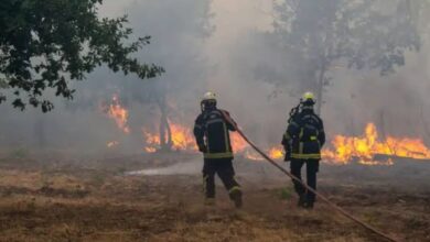 Asciende a 14 la cifra de muertos por el voraz incendio forestal en España