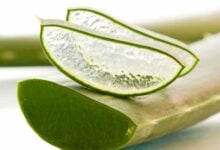 Sábila en ayunas: Conoce cuántos gramos debes consumir al día para proteger tu digestión