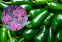 EE. UU. alerta sobre un brote de salmonela por jalapeños mexicanos que deja 345 contagios