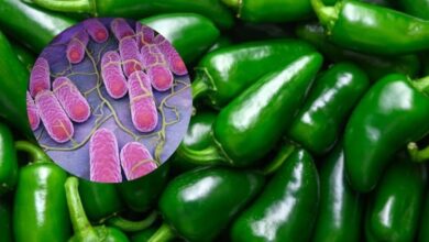 EE. UU. alerta sobre un brote de salmonela por jalapeños mexicanos que deja 345 contagios