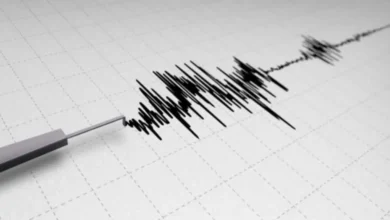 Funvisis registra dos sismos de magnitud 3.1 durante la madrugada de este martes 4 de agosto