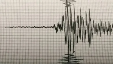 Funvisis reporta un sismo de magnitud 3,0 en el estado Apure este 5 de agosto