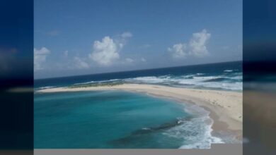 Isla de Aves cumple 54 años como Refugio de Fauna Silvestre