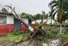 Cáritas Maturín solicita apoyo urgente para tala de árboles en riesgo tras fuertes lluvias