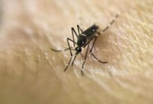 Colombia registra más de 70 mil casos de dengue