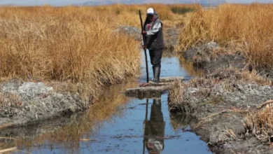 Sequía y altas temperaturas atípicas por El Niño encienden las alarmas en Bolivia