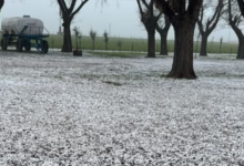 Granizo y vientos de más de 100 km/h causan graves destrozos en Santa Fe y Córdoba, Argentina