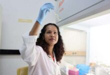 IVIC desarrolla terapia con células madre para regenerar la piel