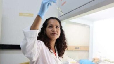 IVIC desarrolla terapia con células madre para regenerar la piel