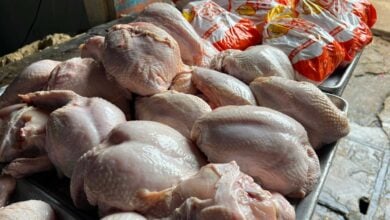 Maturineses eligen el pollo como la proteína más accesible frente al alza de la canasta básica